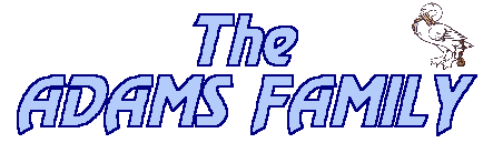 THE ADAMS FAMILY - Wycombe fanzine 1992-1998